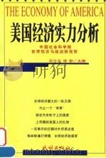 美国经济实力分析   1999  PDF电子版封面  7105034610  石小玉，涂勤主编 