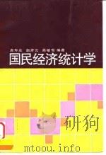 国民经济统计学   1994  PDF电子版封面  7300017983  袁寿庄等编著 