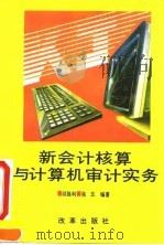 新会计核算与计算机审计实务（1993 PDF版）