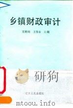 乡镇财政审计   1992  PDF电子版封面  720523602  王继维，王黎业 