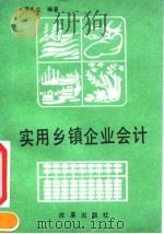实用乡镇企业会计（1992 PDF版）