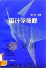 审计学教程   1997  PDF电子版封面  7542904752  陈力生主编 