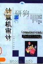 计算机审计（1999 PDF版）
