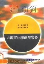 内部审计理论与实务   1996  PDF电子版封面  7800645169  钱世昌主编 