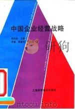 中国企业经营战略（1993 PDF版）