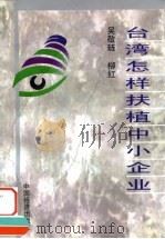 台湾怎样扶植中小企业   1999  PDF电子版封面  7501747547  吴敬琏，柳红 