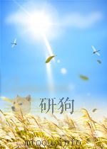 制度、技术与中国农业发展   1994  PDF电子版封面    林毅夫 