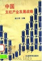 中国支柱产业发展战略（1996 PDF版）