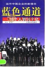 蓝色通道  16个人到16个亿   1998  PDF电子版封面  7501743290  刘勇著 