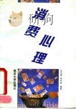 消费心理   1994  PDF电子版封面  7305027537  成伯清，李林艳编著 