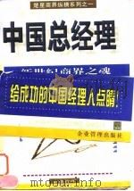 中国总经理  新世纪商界之魂   1997  PDF电子版封面  780001956X  王永编著 