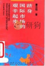 跻身国际市场的艰辛起步   1993  PDF电子版封面  7800257894  董志凯著 