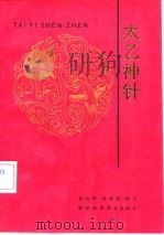 太乙神针（1992 PDF版）