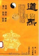 道炁   1994  PDF电子版封面  7508005449  陈伟著；沈乃信整编 