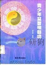 青少年益智明目功   1991  PDF电子版封面  7800364143  高志祥编著 