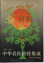 中华名医特技集成（1993 PDF版）