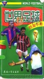 世界足球档案手册（1998 PDF版）