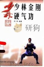 少林金刚硬气功     PDF电子版封面    杨维 