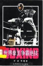 世界拳王争霸绝技（1995 PDF版）