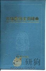 市场营销实用辞典   1989  PDF电子版封面  7504404179  彭星闾主编 