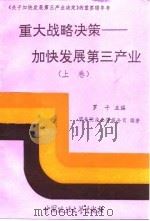 重大战略决策  加快发展第三产业  上   1992  PDF电子版封面  7562008221  罗干 