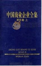 中国商业企业全集  武汉卷  上（1993 PDF版）