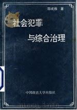 社会犯罪与综合治理   1994  PDF电子版封面  7562013306  郭成伟著 
