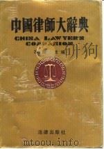 中国律师大辞典（1992 PDF版）