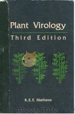 Plant Virology (Third Edition)     PDF电子版封面  0124805531  R.E.F.Matthews 