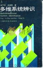 多维系统辨识（1994 PDF版）