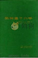 图解量子力学   1988  PDF电子版封面  7532306321  （德）S.勃莱恩脱，H.D.达曼恩著 