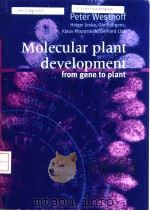 Molecular plant development from gene to plant（ PDF版）