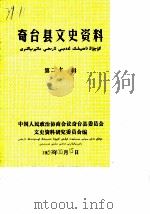 奇台县文史资料  第20辑（1989 PDF版）