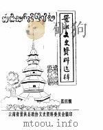 景洪文史资料选辑  第4辑（ PDF版）