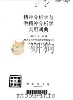 精神分析学与微精神分析学实用词典   1998  PDF电子版封面  7100025036  （瑞士）方迪著；尚衡译 