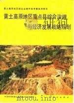 黄土高原地区重点县综合治理与经济发展战略规划（1991 PDF版）