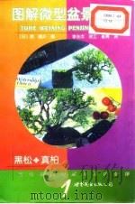 图解微型盆景栽培  1  黑松·真柏（1999 PDF版）