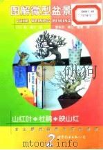 图解微型盆景栽培  2  山红叶·杜鹃·映山红（1999 PDF版）