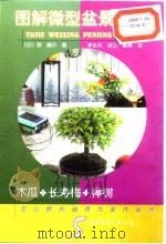图解微型盆景栽培  5  木瓜·长寿梅·榉树（1999 PDF版）