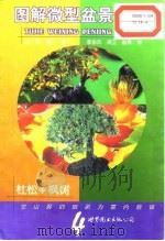 图解微型盆景栽培 4 杜松·枫树   1999年06月第1版  PDF电子版封面    （日）群境介 