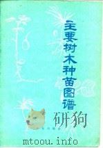 主要树木种苗图谱   1978  PDF电子版封面  16144·1780  南京林产工业学院《主要树木种苗图谱》编写小组编写 