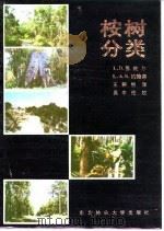 桉树分类（1986 PDF版）