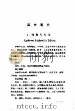 中国杨树害虫   1983  PDF电子版封面  16288·6  李亚杰著 