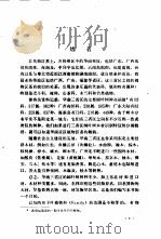 华南阔叶树木材识别（1985 PDF版）