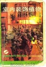 室内装饰植物   1989  PDF电子版封面  7532307891  吴应祥，张应麟编著 