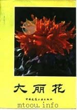 大丽花   1986  PDF电子版封面  15040·5005  姚梅国，池玉文编著 