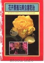 花卉繁殖与病虫害防治   1995  PDF电子版封面  7500618484  石宝錞等编著 