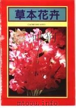 草本花卉   1995  PDF电子版封面  7500618506  王莲清，刘丽和编著 