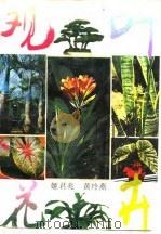 观叶花卉   1990  PDF电子版封面  7112007720  姬君兆，黄玲燕编著 