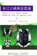 长江三峡库区昆虫  上（1997 PDF版）